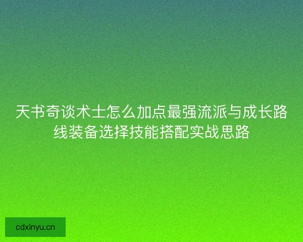 天书奇谈术士怎么加点最强流派与成长路线装备选择技能搭配实战思路